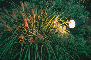 licht im garten